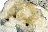 Fossil Clam (Mercenaria) w/ Fluorescent Calcite - Rucks' Pit, FL #300330-1